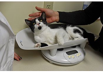 Clinic photo/Office of Dr. WHITE OAKS WEST ANIMAL HOSPITAL