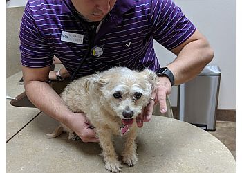 Clinic photo/Office of Dr. WHITE TANKS ANIMAL HOSPITAL &amp; GROOMING